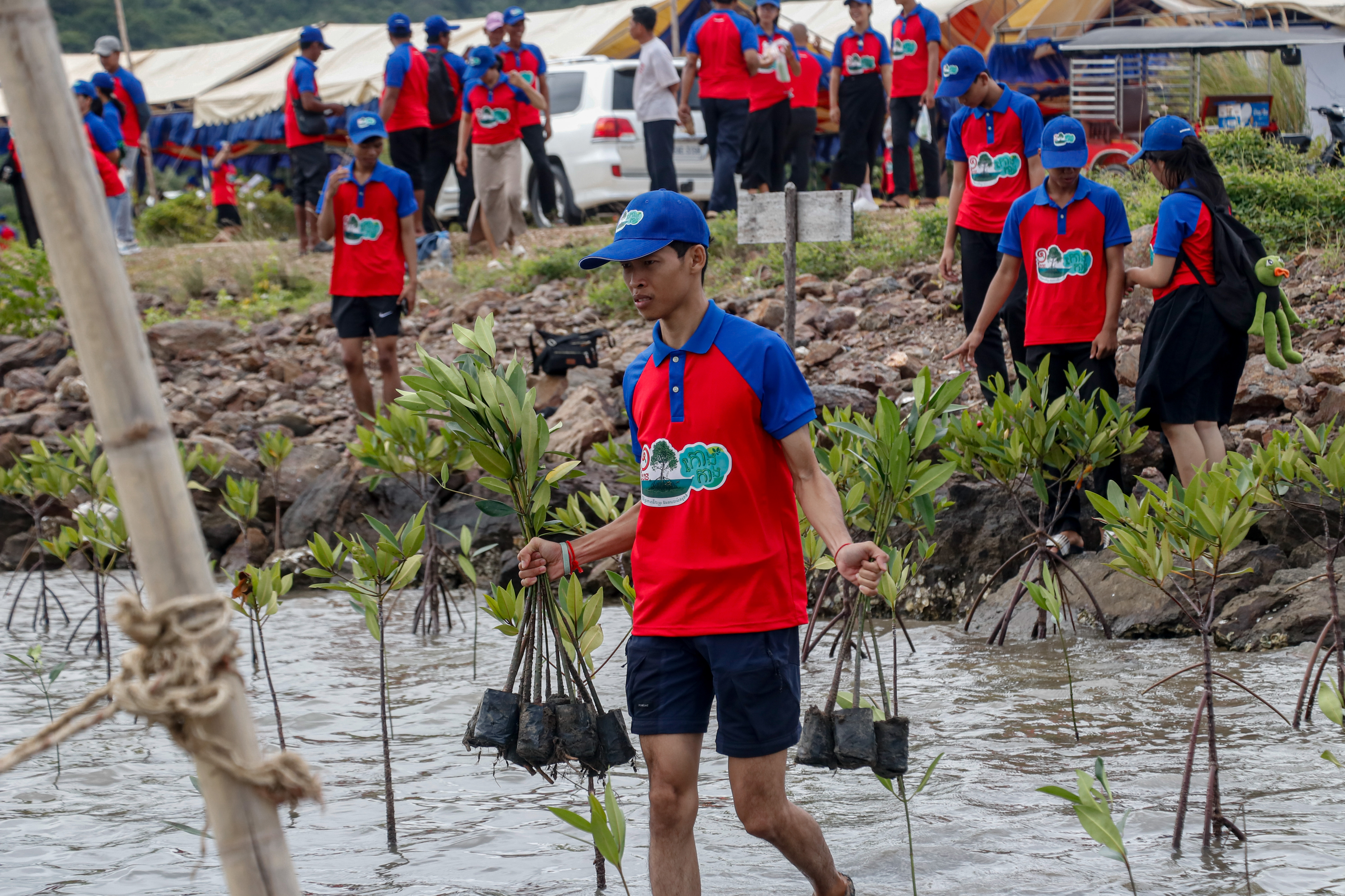 Celebrating World Oceans Day and the 100,000 Mangrove Planting Campaign